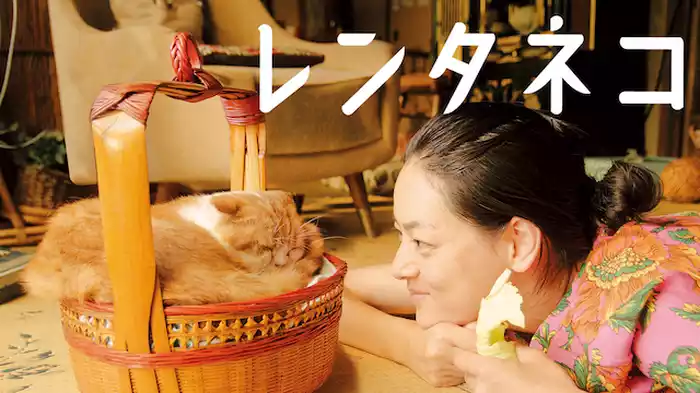 レンタネコ