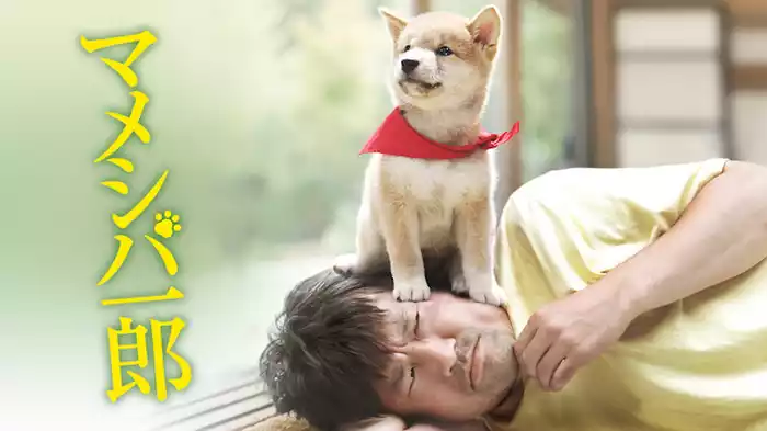 映画版 マメシバ一郎
