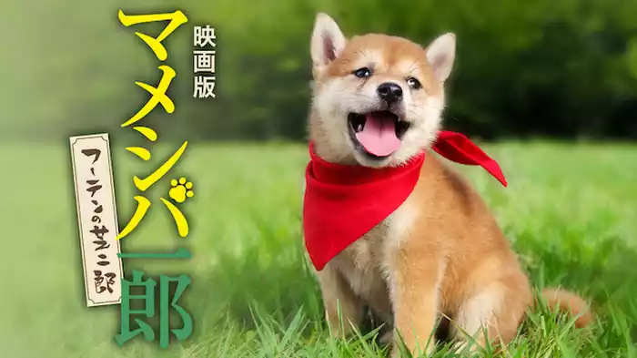 映画版 マメシバ一郎 フーテンの芝二郎