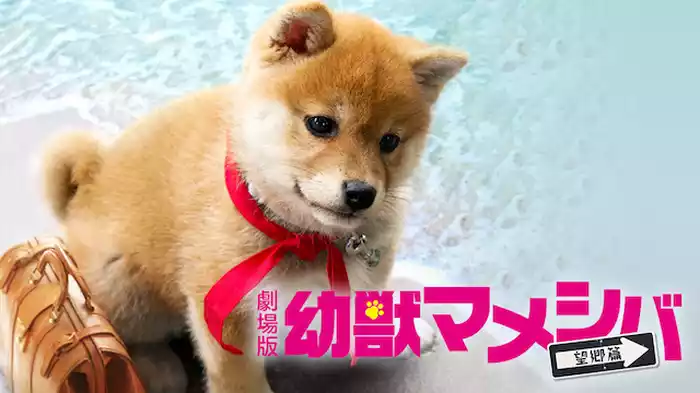 映画　幼獣マメシバ　望郷篇