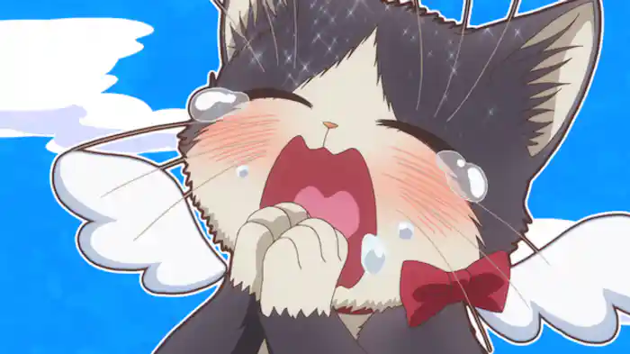 いっしょごはん