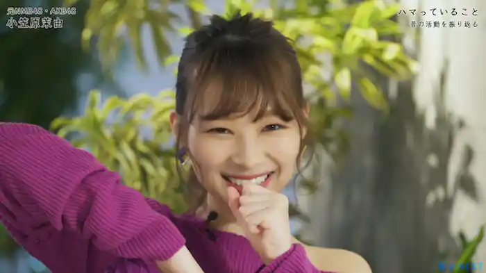 小笠原茉由のハマっていること