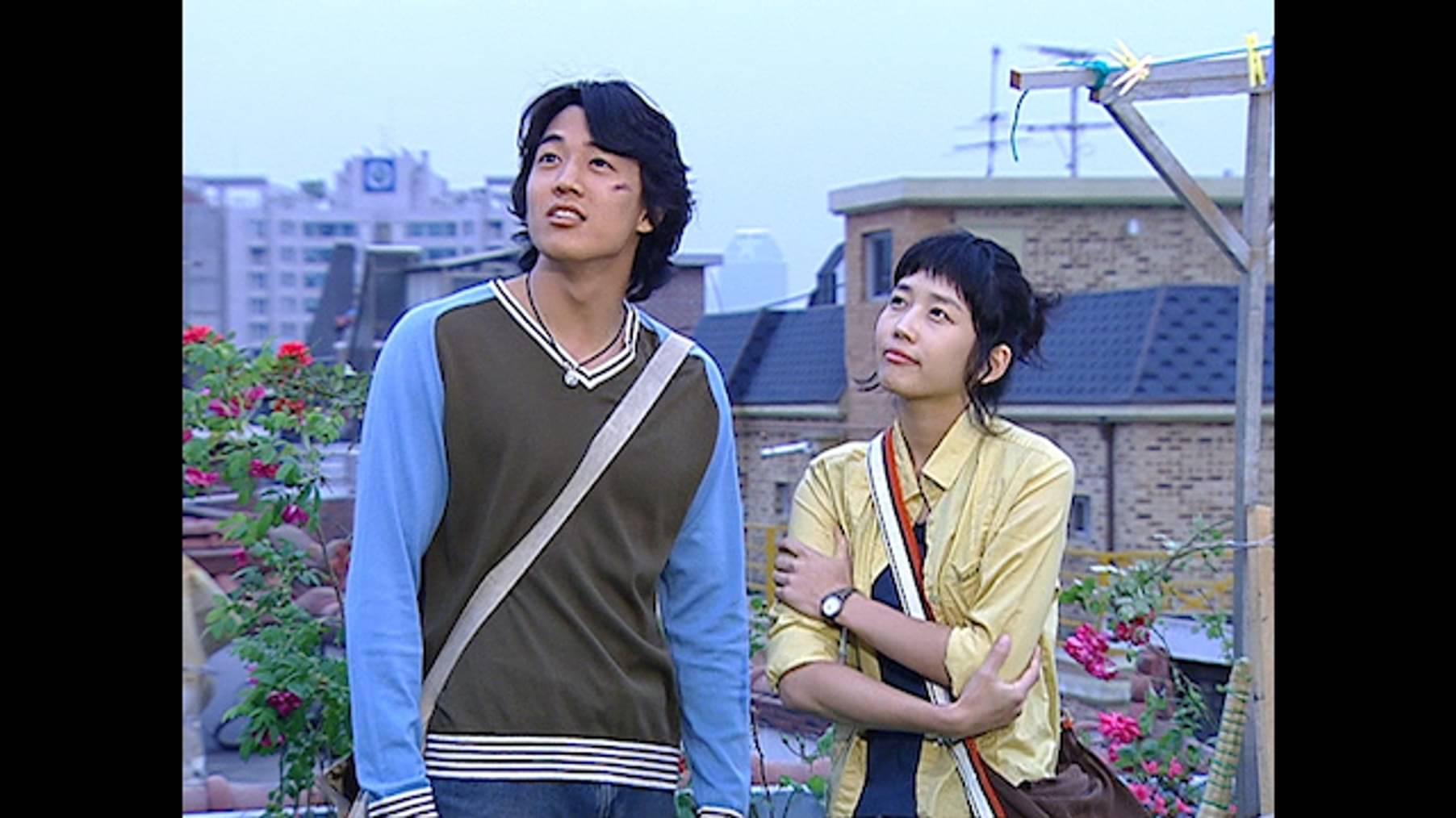 屋根部屋のネコ 第1話 韓流 アジア 03 の動画視聴 U Next 31日間無料トライアル