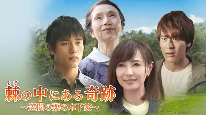 棘の中にある奇跡 ～笠間の栗の木下家～
