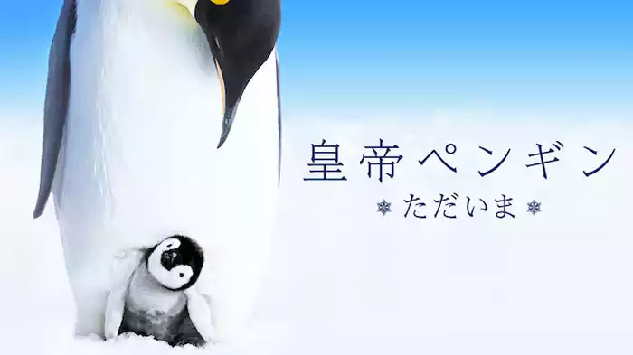 皇帝ペンギン ただいま