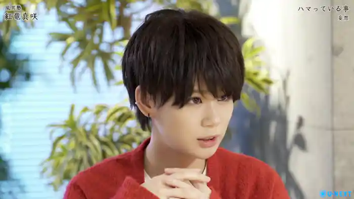 紅竜真咲のハマっていること