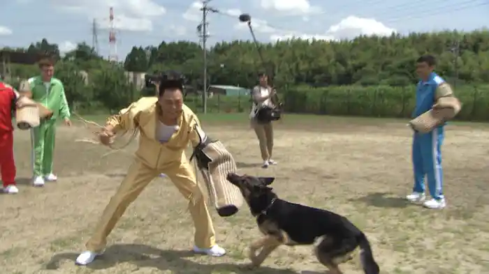 スター性を確認するために運試しをやっちゃおう！