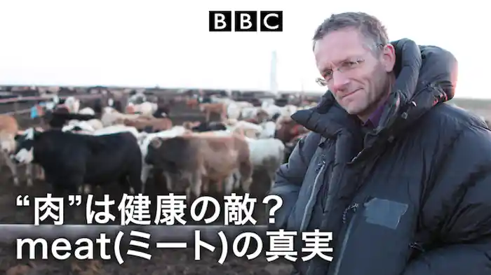 “肉”は健康の敵？meat(ミート)の真実