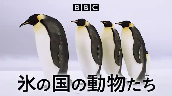 氷の国の動物たち