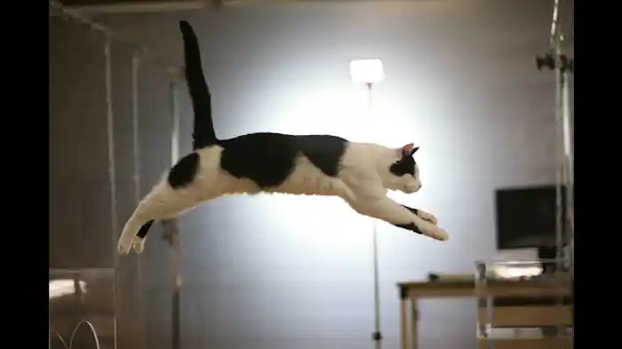 視覚・聴覚・嗅覚