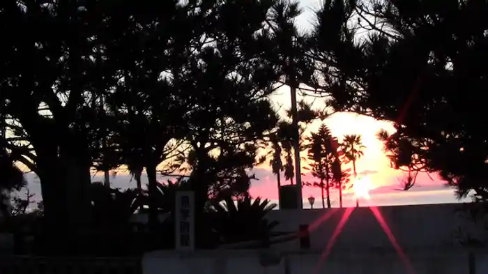 実録!!ほんとにあった恐怖の投稿映像BEST30 第4弾