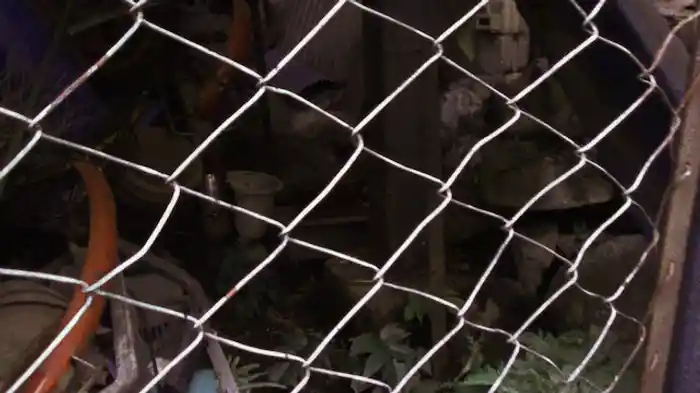 実録!!ほんとにあった恐怖の投稿映像BEST30 第6弾