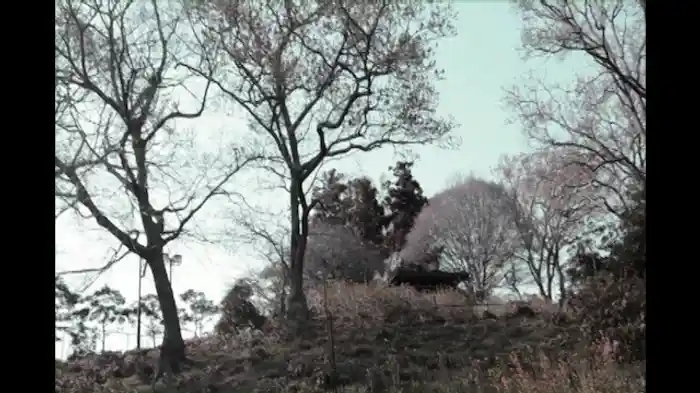 実録!!ほんとにあった恐怖の投稿映像BEST30 第7弾