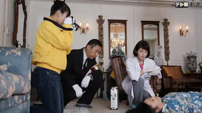 8億円の猫
