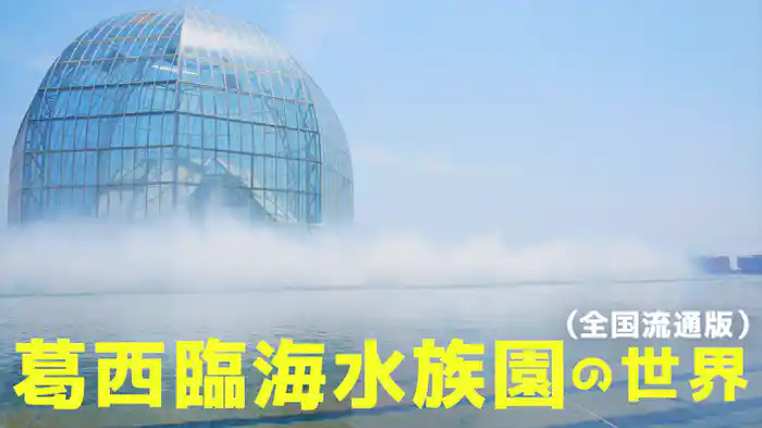 葛西臨海水族園の世界（全国流通版）