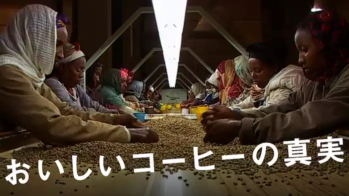 おいしいコーヒーの真実