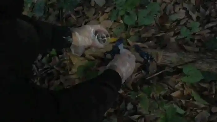 投稿！UFO・UMA～陰謀・謀略編 衝撃映像11FILE～