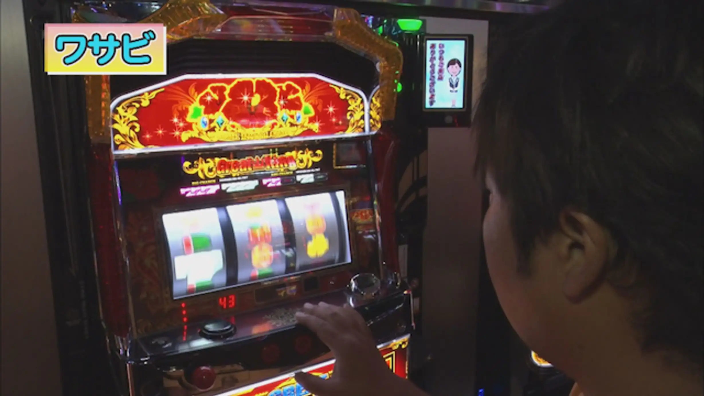 パチスロ常勝理論 327 バラエティ 11年 の動画視聴 あらすじ U Next