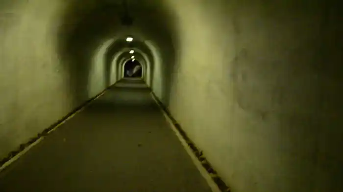 特集!!衝撃心霊映像V