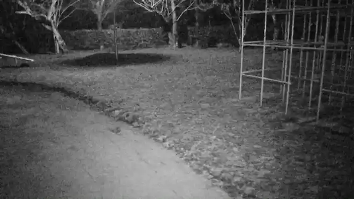 特集!!衝撃心霊映像VII