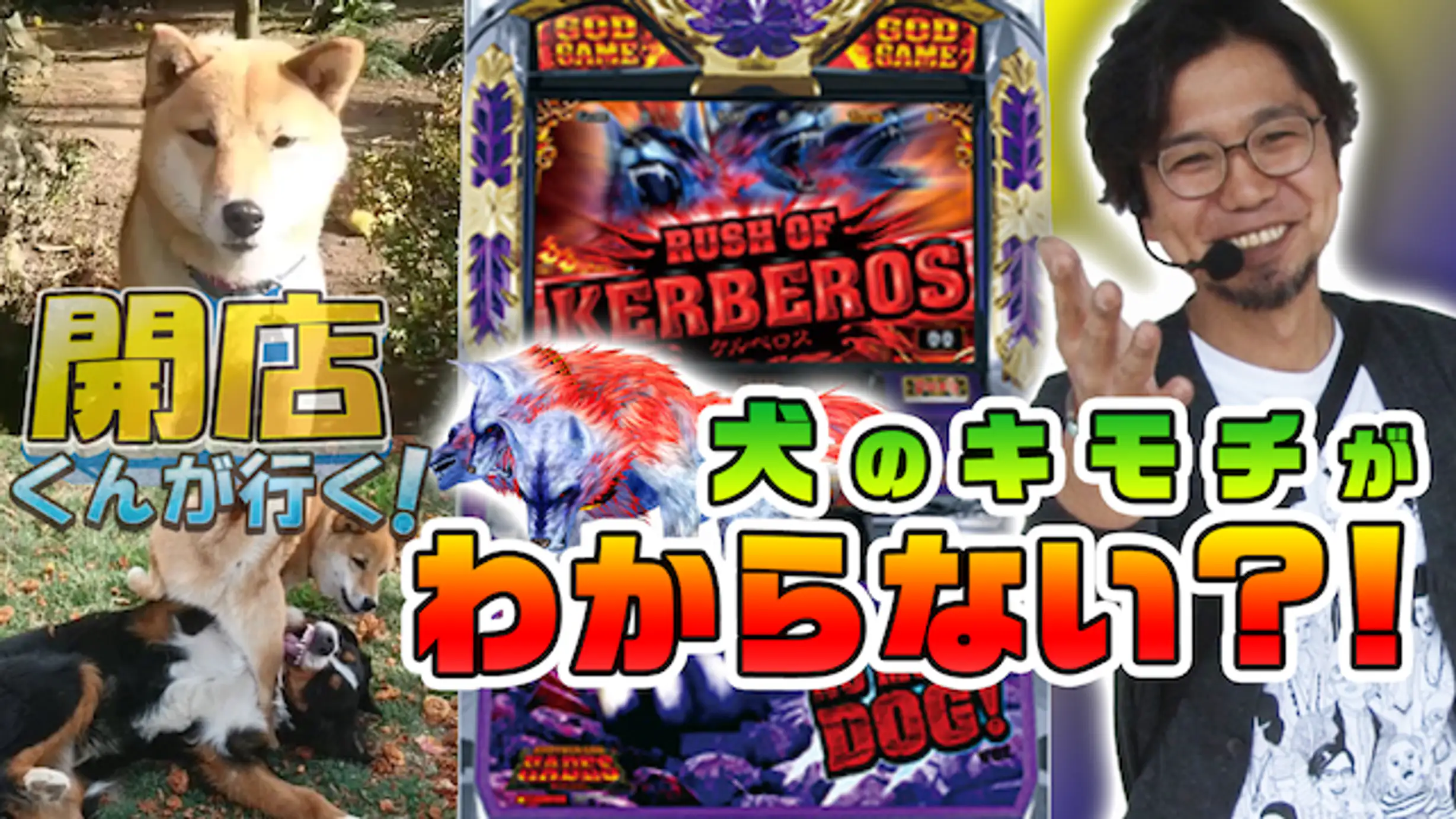 開店くんがいく 2 バラエティ の動画視聴 あらすじ U Next