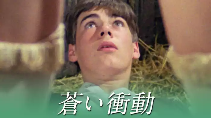 蒼い衝動