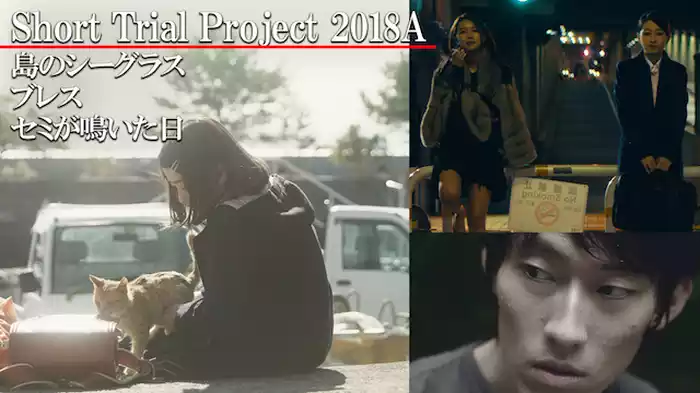 Short Trial Project 2018A /島のシーグラス/ブレス/セミが鳴いた日