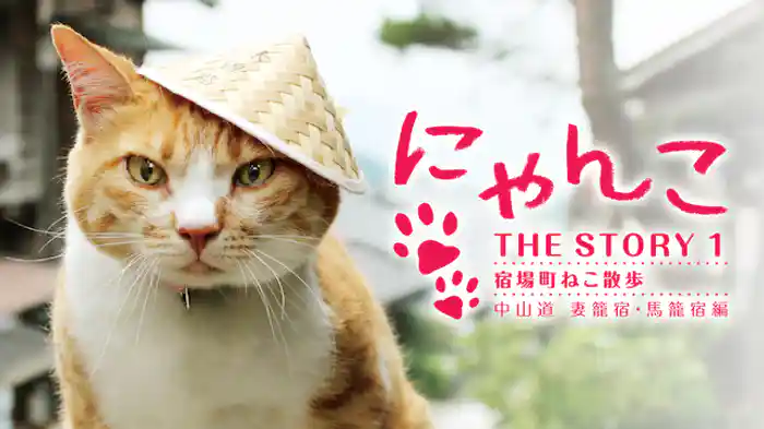 にゃんこTHE STORY1  宿場町ねこ散歩 中山道 妻籠宿・馬籠宿