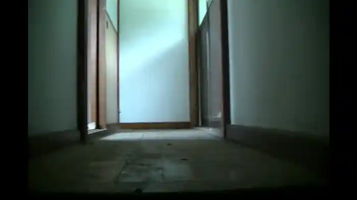 恐すぎる携帯動画 絶叫投稿13連発3