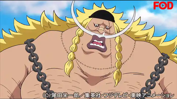 新七武海 伝説・白ひげの息子登場