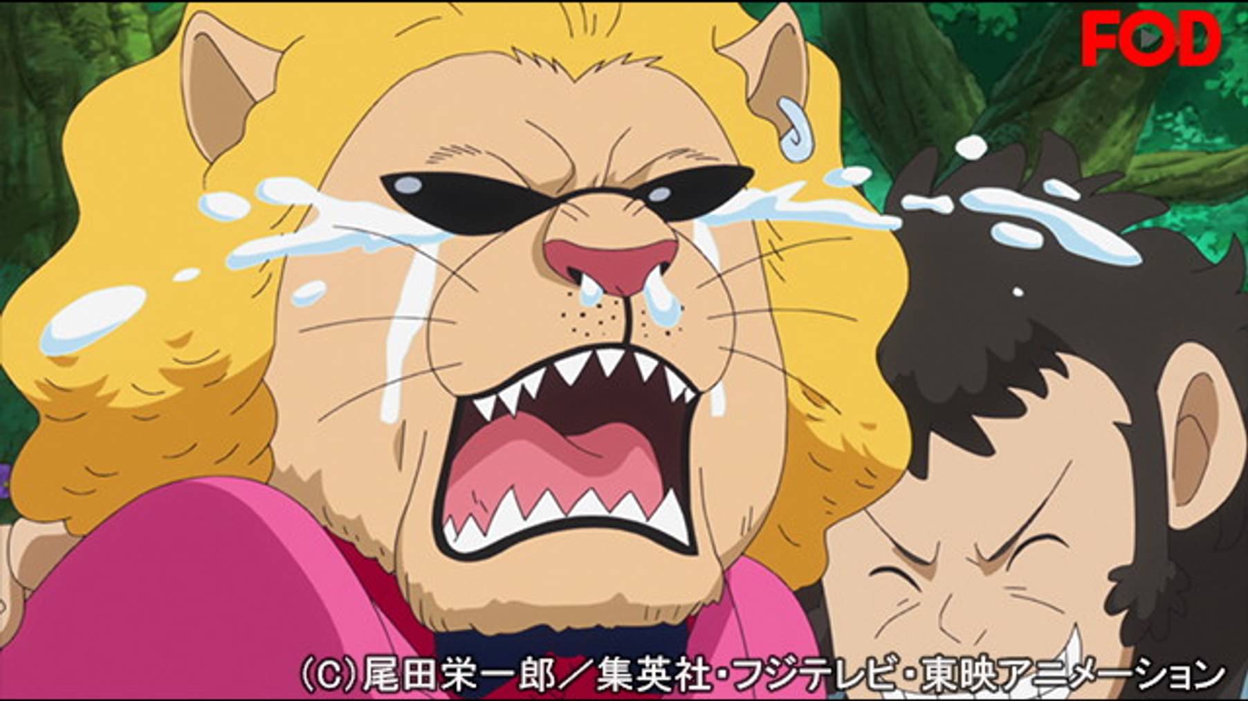 ワンピース ゾウ編 ２ 762 悪童帰郷 四皇ビッグ マムの刺客 アニメ 16 の動画視聴 U Next 31日間無料トライアル