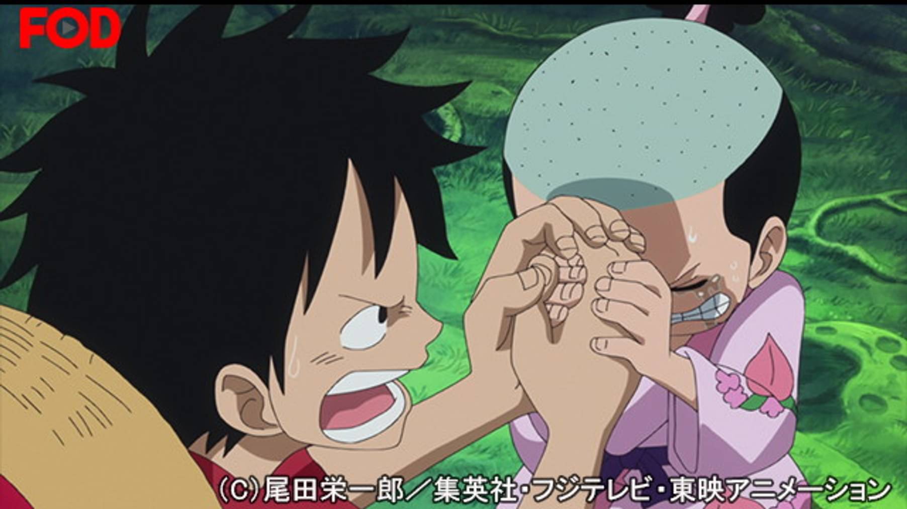 ワンピース ゾウ編 ２ 764 野郎共へ サンジ別れの置手紙 アニメ 16 の動画視聴 U Next 31日間無料トライアル