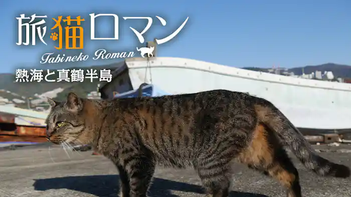 熱海と真鶴半島