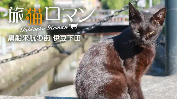 黒船来航の街 伊豆下田