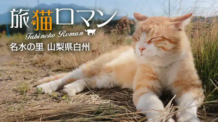 名水の里 山梨県白州