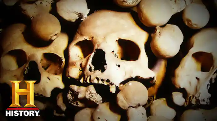 地球外ウイルス