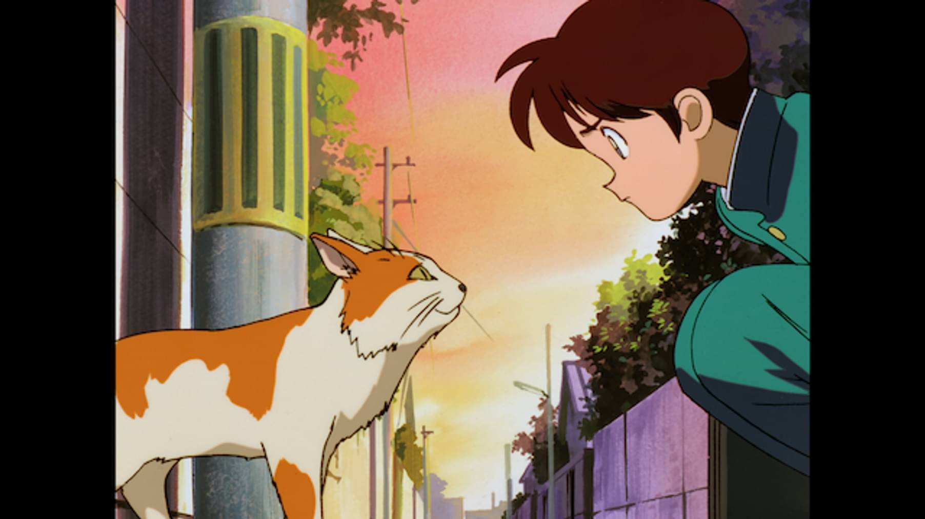 H2 アニメ 1995 の動画視聴 U Next 31日間無料トライアル