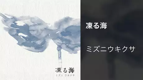 【MV】凍る海/ミズニ ウキクサ