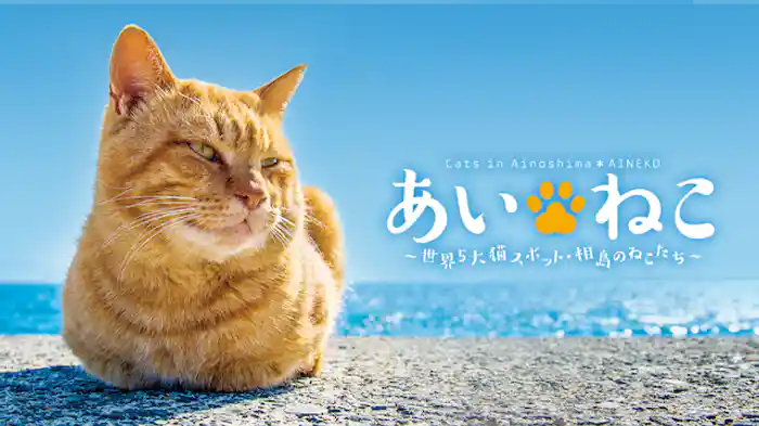 あいねこ ~世界5大猫スポット・相島のねこたち~
