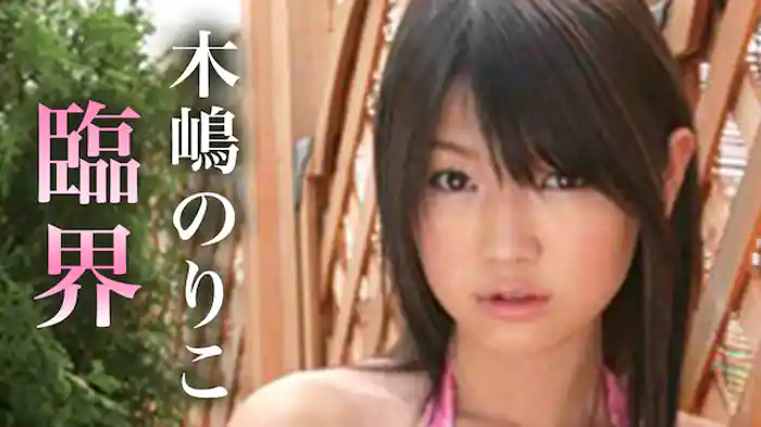 木嶋のりこ 『臨界』