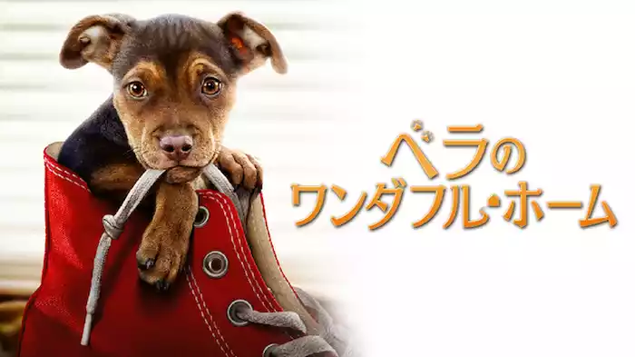 ベラのワンダフル・ホーム