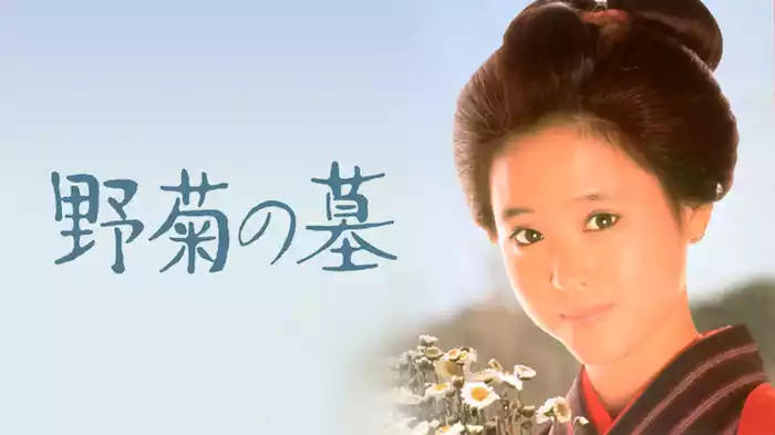 野菊の墓