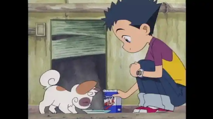 「新装開店!MAHO堂」