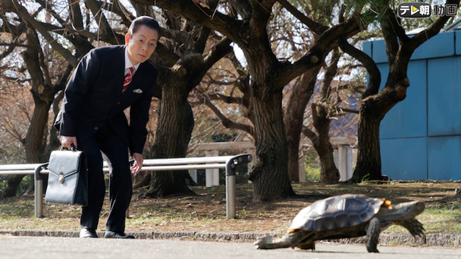 相棒 Season17 国内ドラマ 18 の動画視聴 U Next 31日間無料トライアル