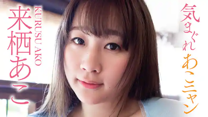 来栖あこ『気まぐれあこニャン』