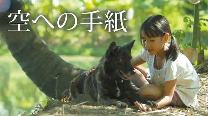 空への手紙