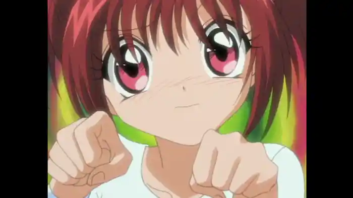 『嵐の新体操、ネコの舞で輝く星になるにゃん』