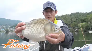 ザ フィッシング 325 19 9 28放送分 最高の1枚を求めて秋のヘラブナ釣り バラエティ 18年 の動画視聴 あらすじ U Next ザ フィッシング 325 19 9 28放送分 最高の1枚を求めて秋のヘラブナ釣り バラエティ 18年 の動画視聴 あらすじ U Next