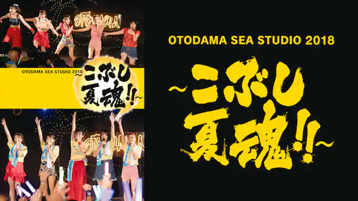 OTODAMA SEA STUDIO 2018 ～こぶし夏魂！！～