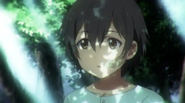 Dwellings and surroundings